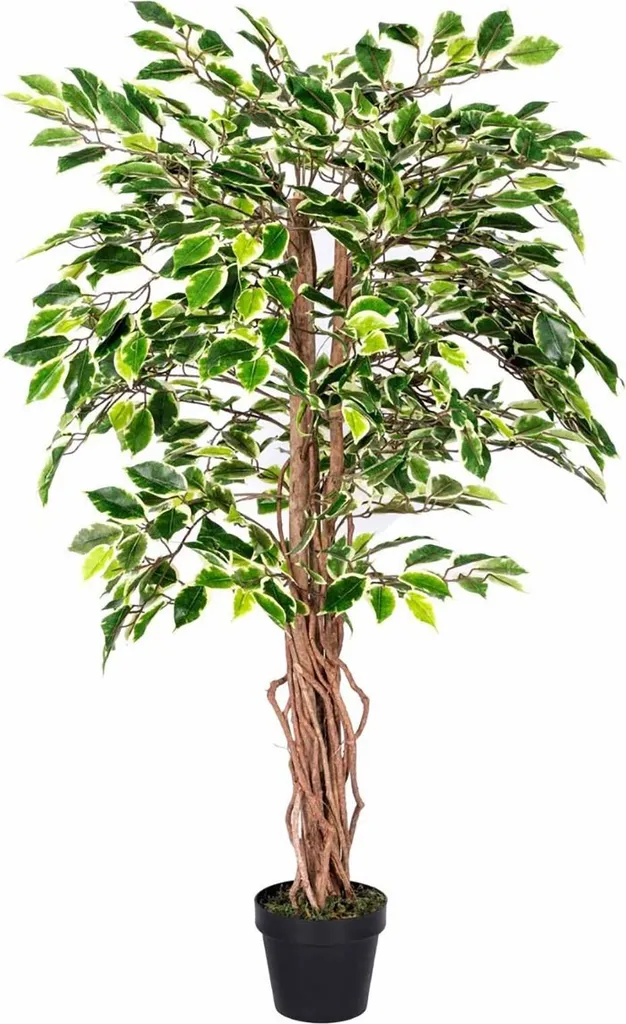 Homescapes Ficus Benjamini Artificiale 122 cm - Albero Realistico Top