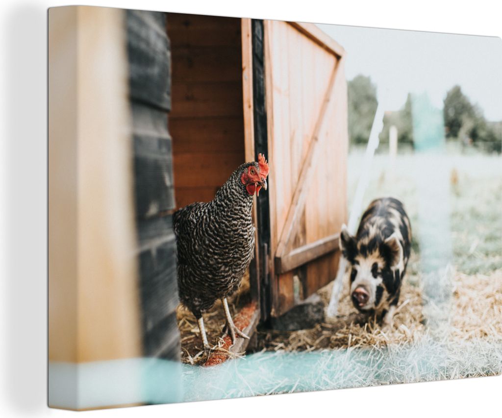 OneMillionCanvasses - Leinwandbilder - 150x100 cm, Schwein - Huhn - Bauernhof, Wandbilder Kunstdruck Wanddekoration