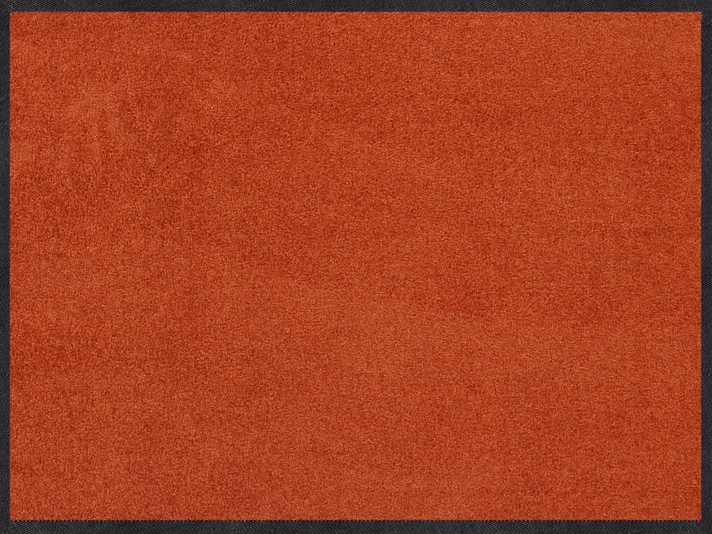 Fussmatte Salonloewe Cayenne 60x85 cm
