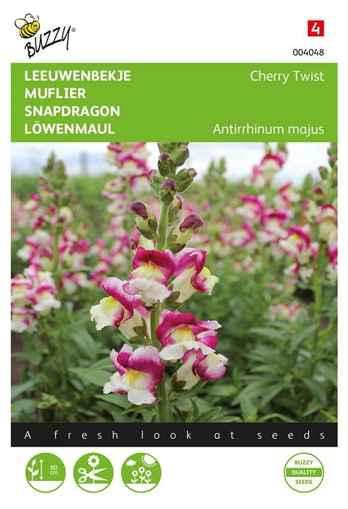 Löwenmaul Cherry Twist | Löwenmaulsamen von Buzzy Seeds