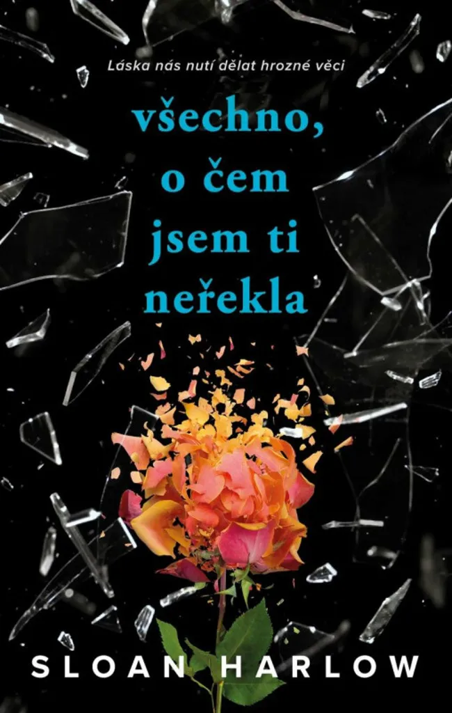 Livre Everything We Never Said Sloan Harlow | Idée Cadeau Thriller YA