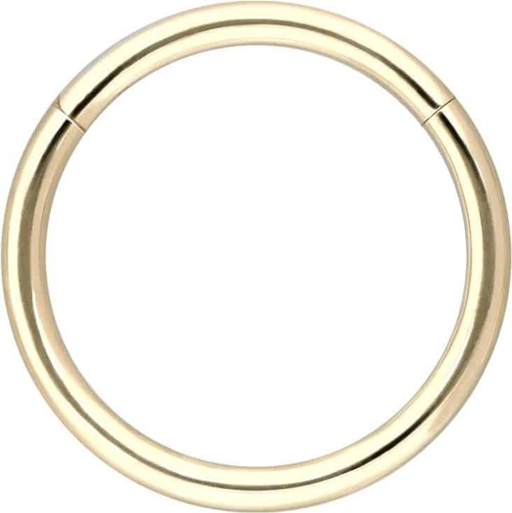 Ohrpiercing, Nasenpiercing, Septum Piercing 14/18 Karat Gold Segmentring Clicker 14 Karat | Gold Innendurchmesser: 11mm | Stabstärke: 1,2mm