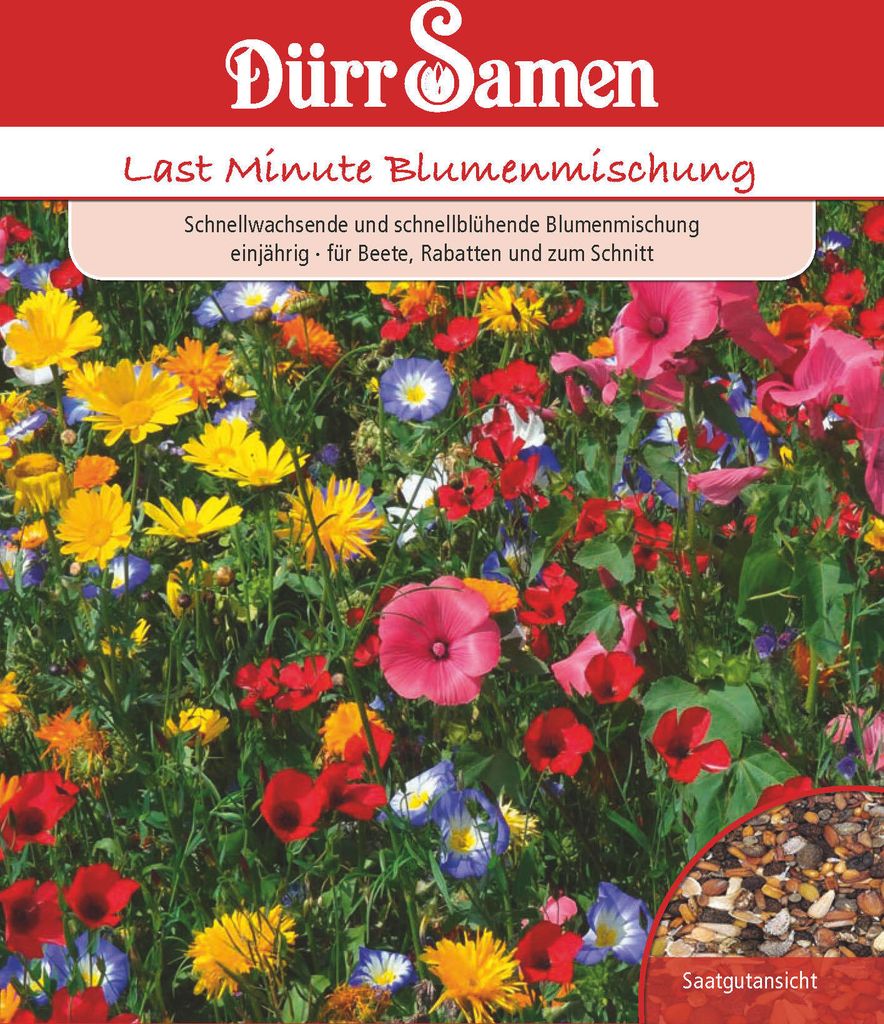 Turbo Blumenmischung | Blumensamen von Dürr Samen