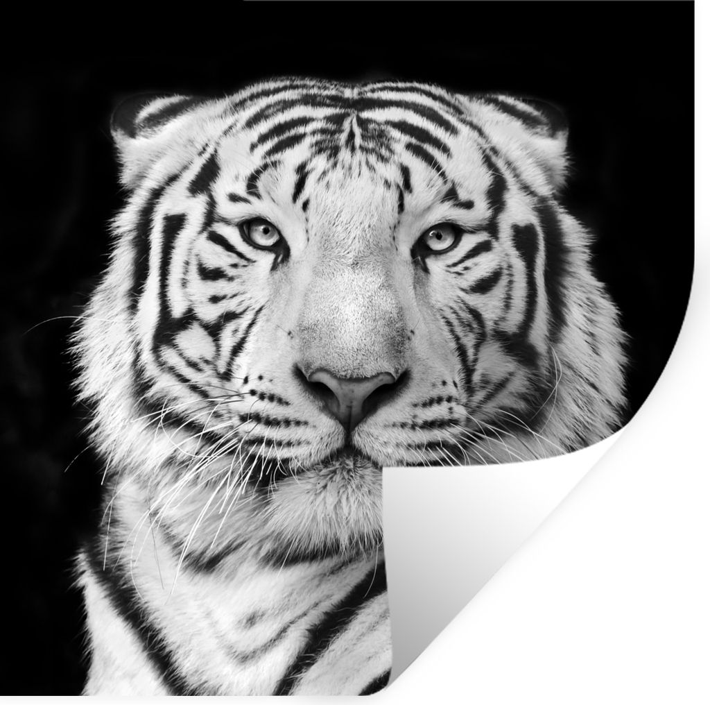 MuchoWow Wandtattoo Wandsticker Wandaufkleber Tiger - Schwarz - Weiß - Porträt - Tiere 50x50 cm Selbstklebend und Repositionierbar - Selbstkleb...
