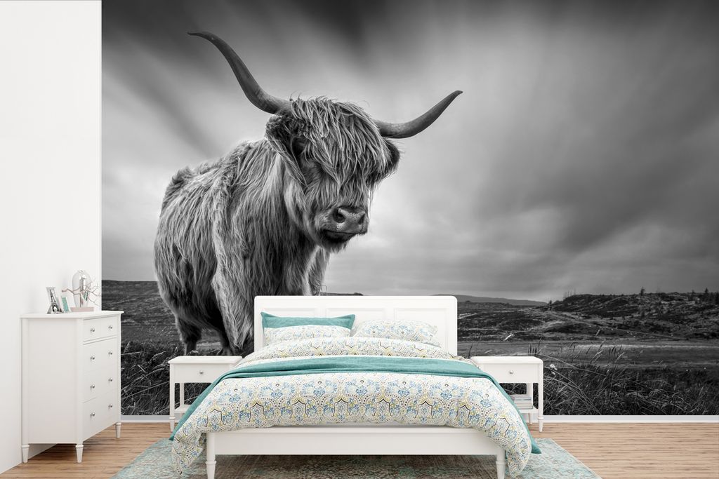 MuchoWow Fototapete für Wohnzimmer oder Schlafzimmer Wandtapete Vinyl Motivtapete Kühe - Schottische Hochlandkühe - Natur - Tiere - Schwarz un...