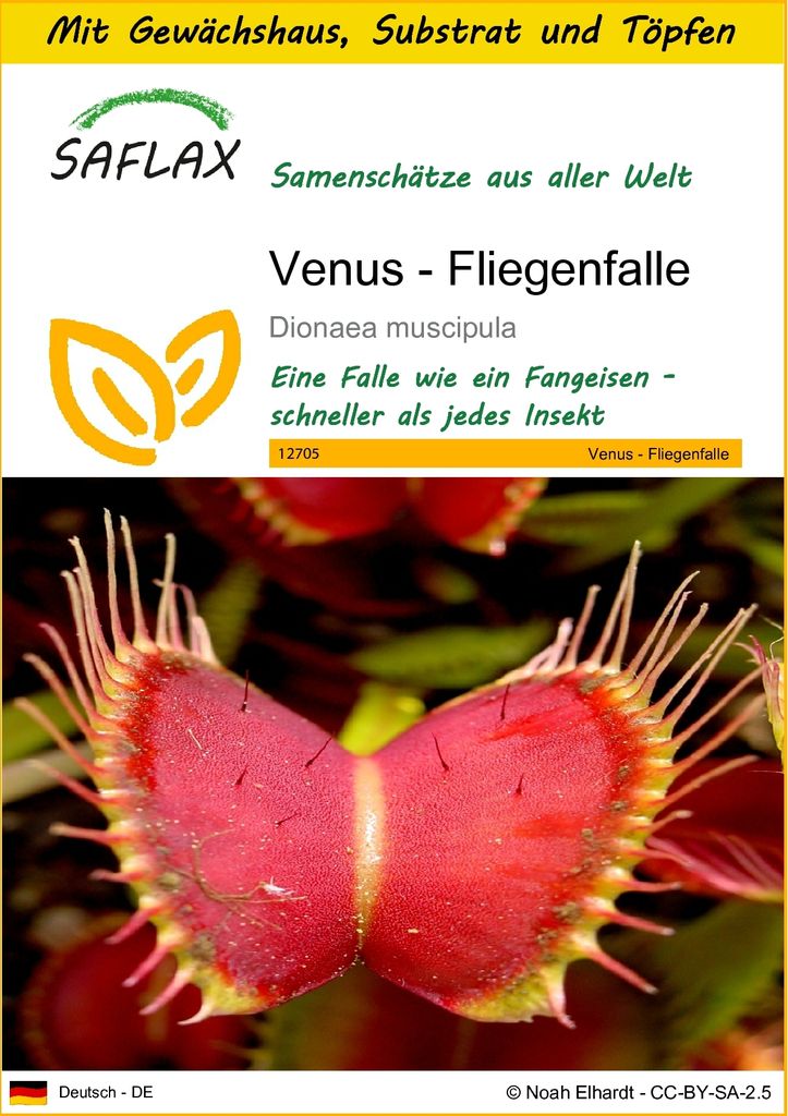 SAFLAX Anzucht Set - Venus - Fliegenfalle - Dionaea Produktbild 