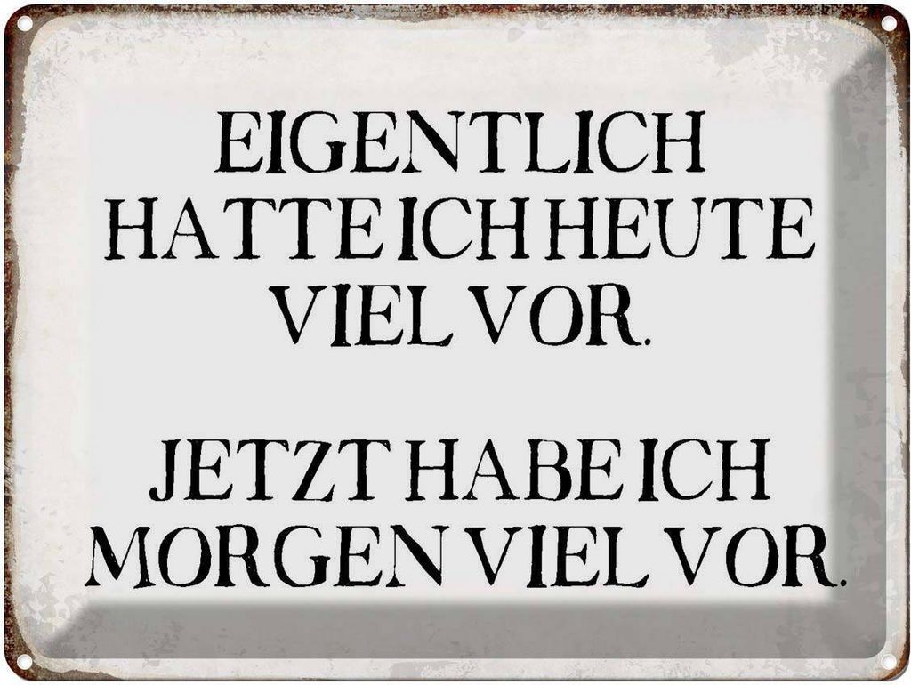vianmo Blechschild 30x40 cm eigentlich hatte heute viel vor Spruch Zitat