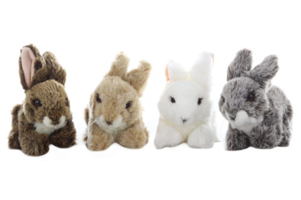 Four plush toy rabbits of different colors are arranged in a row against a white background.