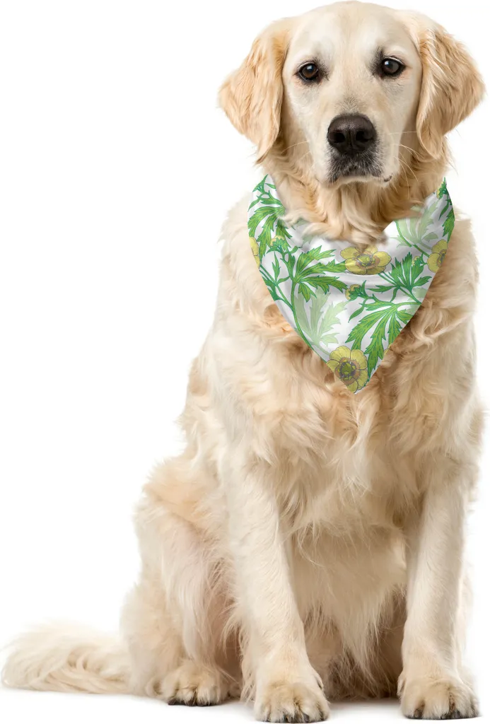 Bandana Cane ABAKUHAUS Giardinaggio 40x40 cm Verde Giallo Pastello