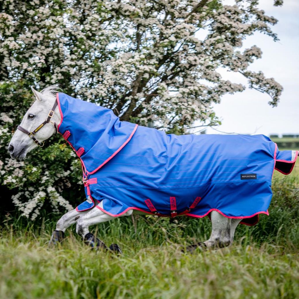 Horseware Ireland Outdoordecke 250g Amigo Bravo 12 Reflectech Plus Medium Weidedecke Blue/ Reflective & Pink 140 (6'3)