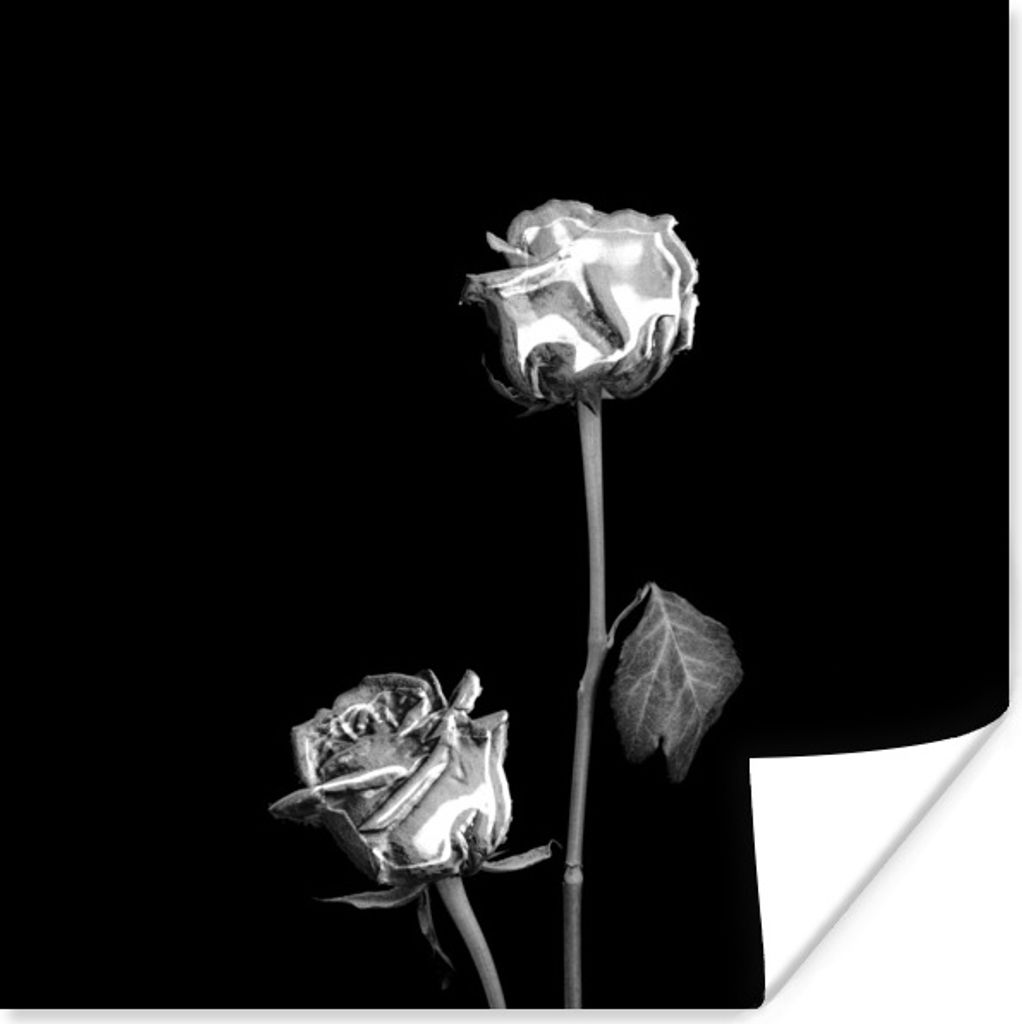 MuchoWow Poster Rosen - Blumen - Schwarz - Weiß 50x50 cm - Wohnzimmerdekoration