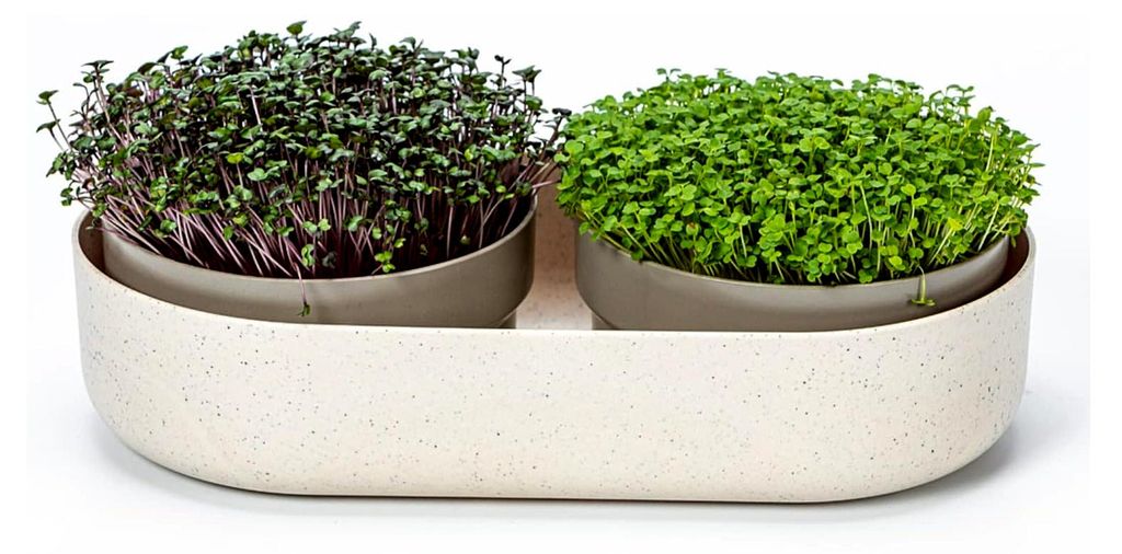 Urbalive 2-in-1 große Keimschale Set - 2x Anzuchtschale für Sprossen und Microgreens - Kressesieb aus hochwertigem Kunststoff - Keimsprossenbox m...
