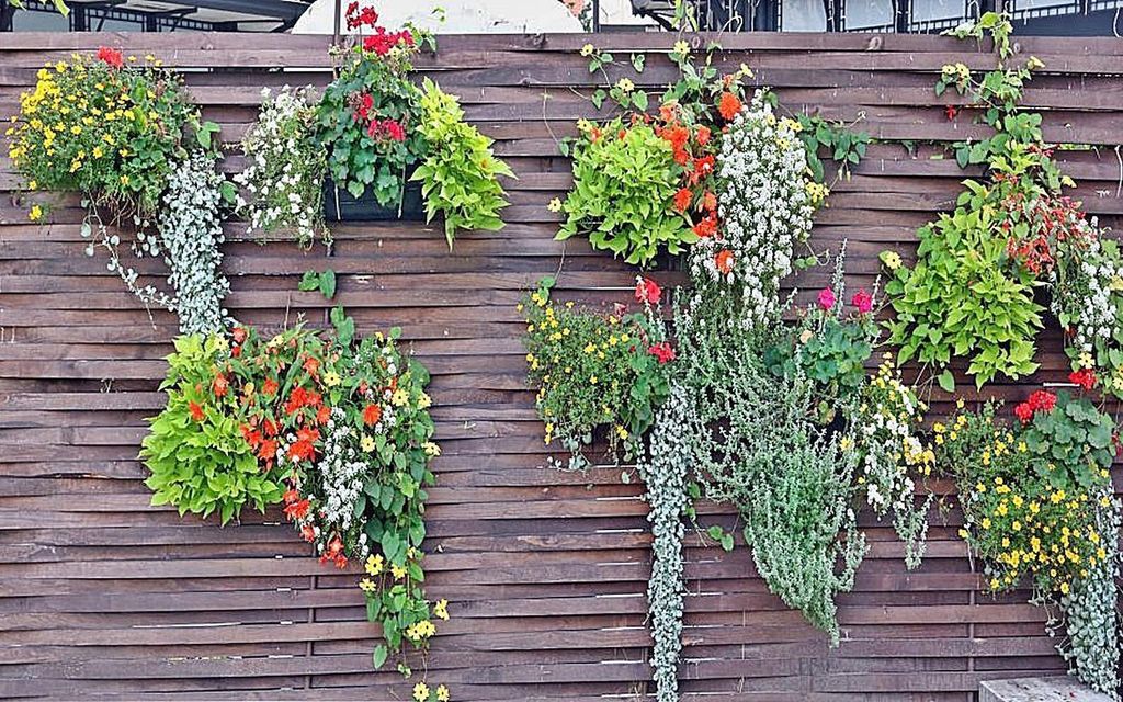 9 x Hängetopf Blumentopf Hängetöpfe Garten Balkon Blumen