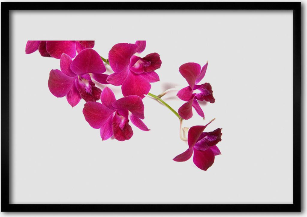 Bild 100x70 MDF-Rahmen Wandkunst Blumen Pflanzen Natur