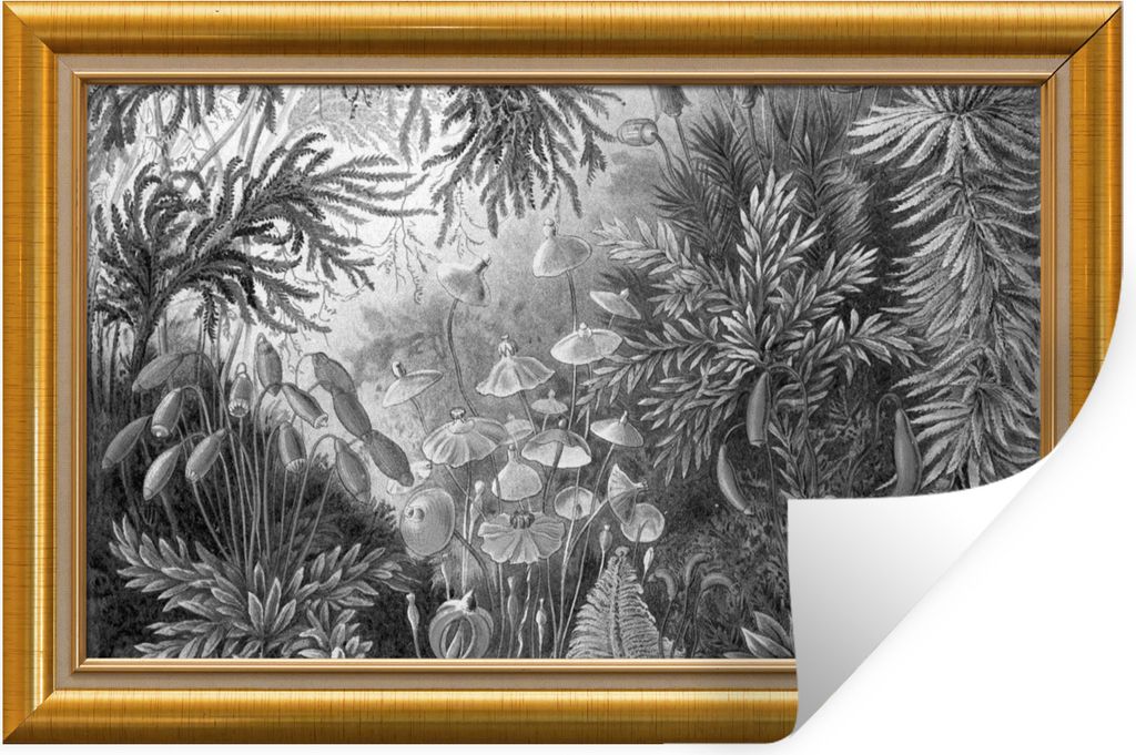 MuchoWow Wandtattoo Wandsticker Wandaufkleber Kunstwerke - Alte Meister - Rahmen - Gold 30x20 cm Selbstklebend und Repositionierbar - Wierderverw...