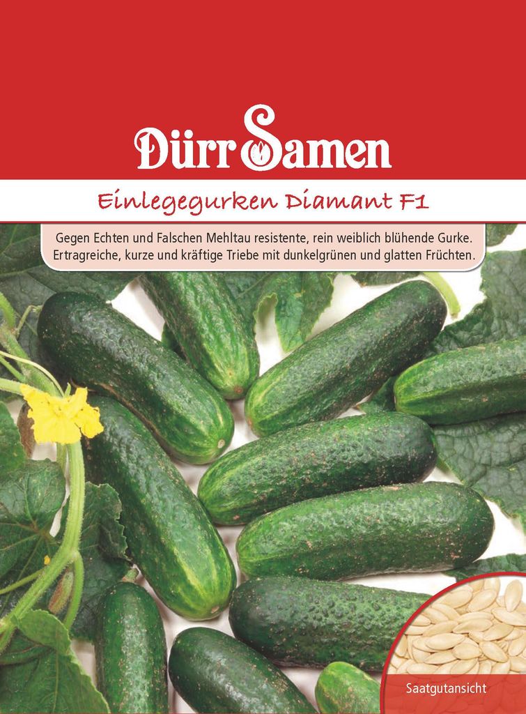 Dürr-Samen - Einlegegurken Diamant F1 - Saatgut - 1029 Produktbild 