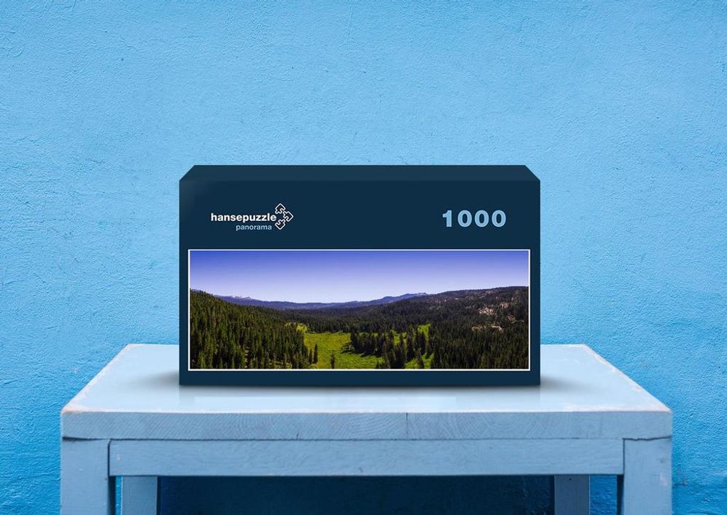 hansepuzzle 43693 - Wald Puzzle, 1050 Teile, Natur, 60,0 x 46,0cm mit hochwertiger Aufbewahrung, Kartonbox und wiederverschließbarem Beutel