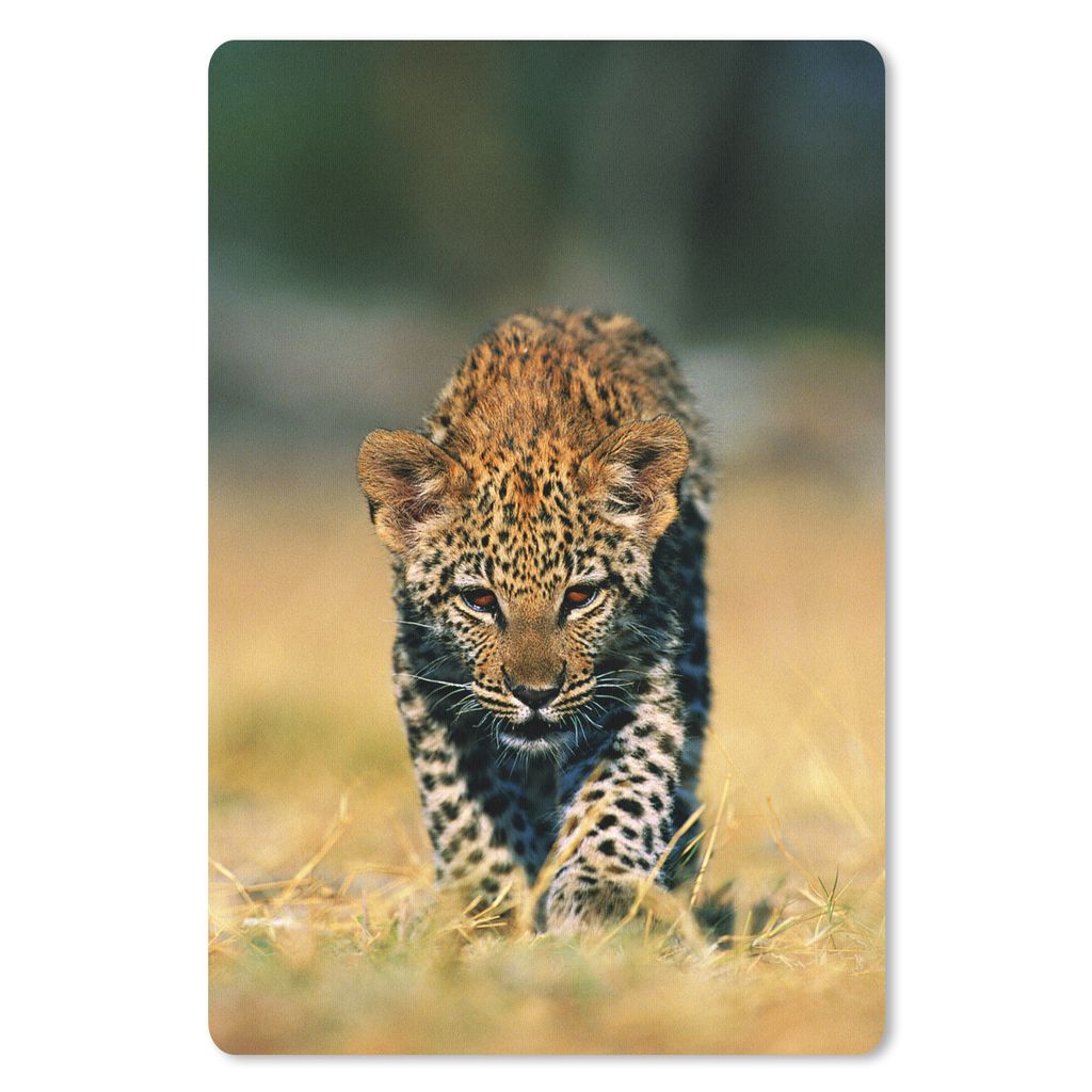 MuchoWow Mauspad Mousepad Leopard - Makro - Gras 40x60 cm - Mousepads - Maus Mat - Pad - Mausunterlage - Schreibtisch Accesoire
