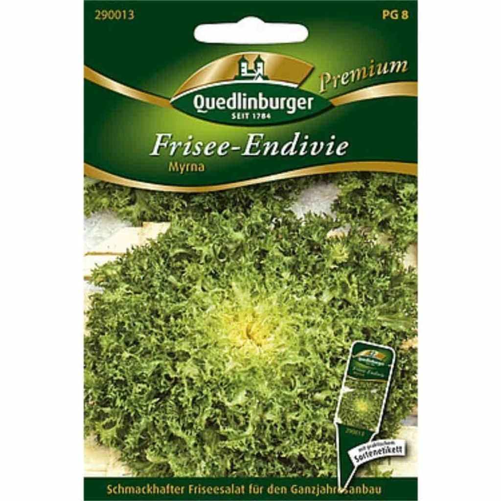 Semi di Quedlinburger Saat - Frisee-Endivie Myrna - semi - Immagine del prodotto 