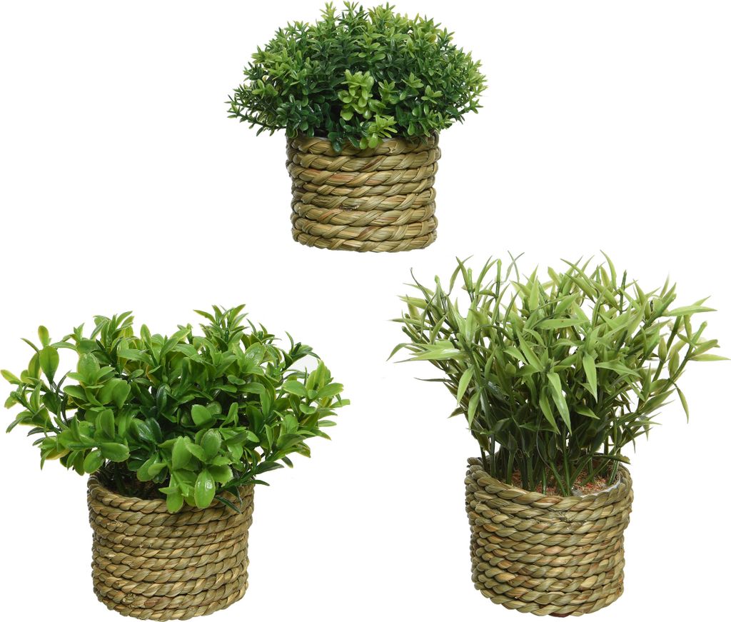 Plante artificielle dans pot tressé 13cm, 1 pièce assortie Image du produit 