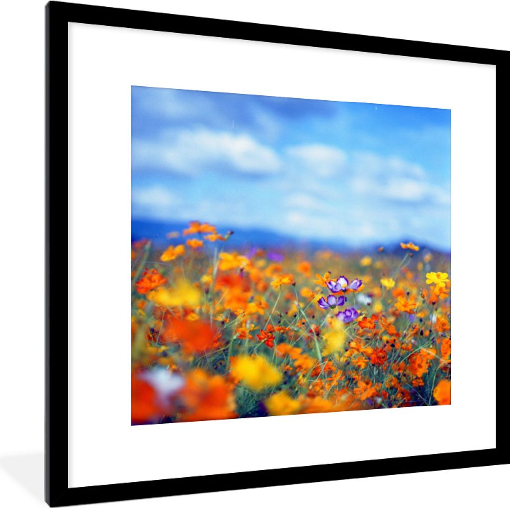 MuchoWow MuchoWow Gerahmtes Poster Kosmos - Farben - Frühling 40x40 cm - Poster mit zchwarzem Bilderrahmen - Poster - Plakat im Rahmen