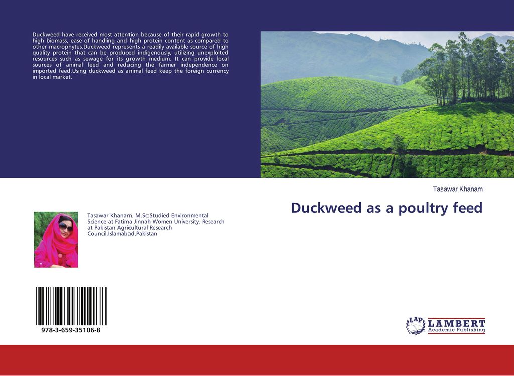 Duckweed as a poultry feed