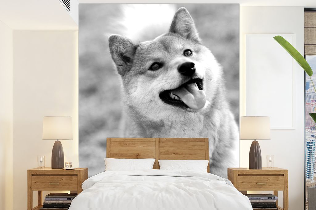 MuchoWow Fototapete für Wohnzimmer oder Schlafzimmer Wandtapete Vinyl Motivtapete Nahaufnahme Shiba Hund mit offenem Maul - schwarz und weiß - ...