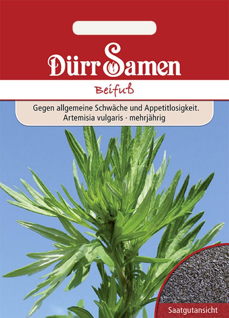 Dürr-Samen - Beifuß - Saatgut - 0173 Produktbild 