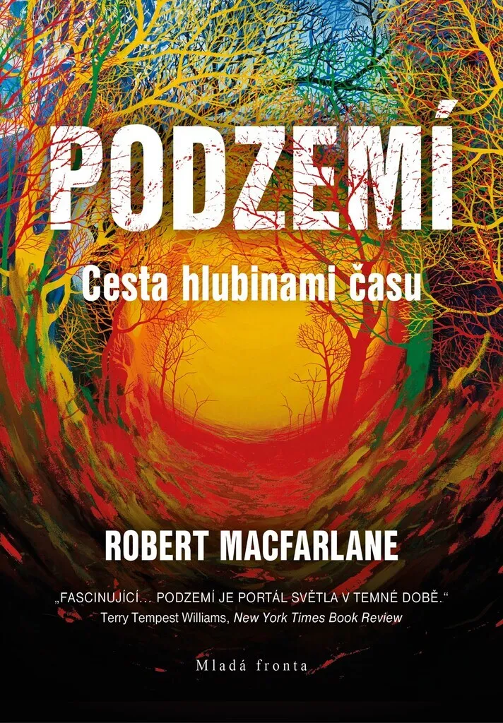 Podzemí de Robert Macfarlane : Le Livre pour Décrypter le Temps Profond