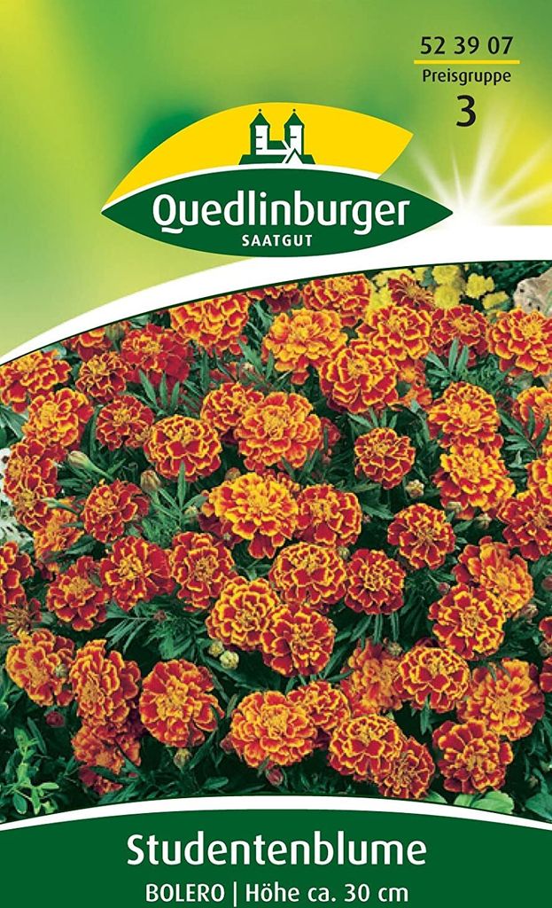Studentenblume, Bolero Produktbild 