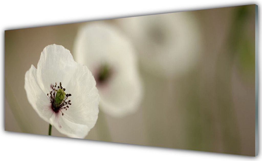 Acrylglasbilder 125x50 Wandbild Druck Blume Pflanzen