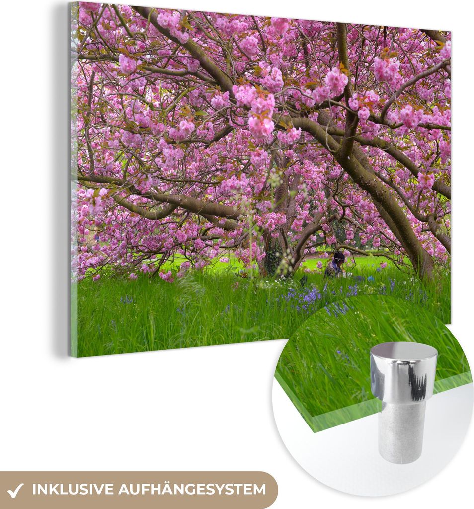 MuchoWow Glasbilder - Bilder auf Wandbild - Foto auf Glas Kirschbaum - Blüte - Rosa 60x40 cm Wanddekoration aus Glas - Acrylglasbild - Acrylbilder...
