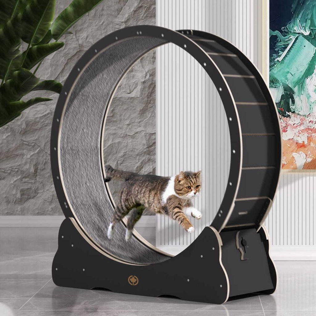 Běžecký pás Cat velikosti L | Canadian Cat | BLACK EDITION Obrázek produktu 2