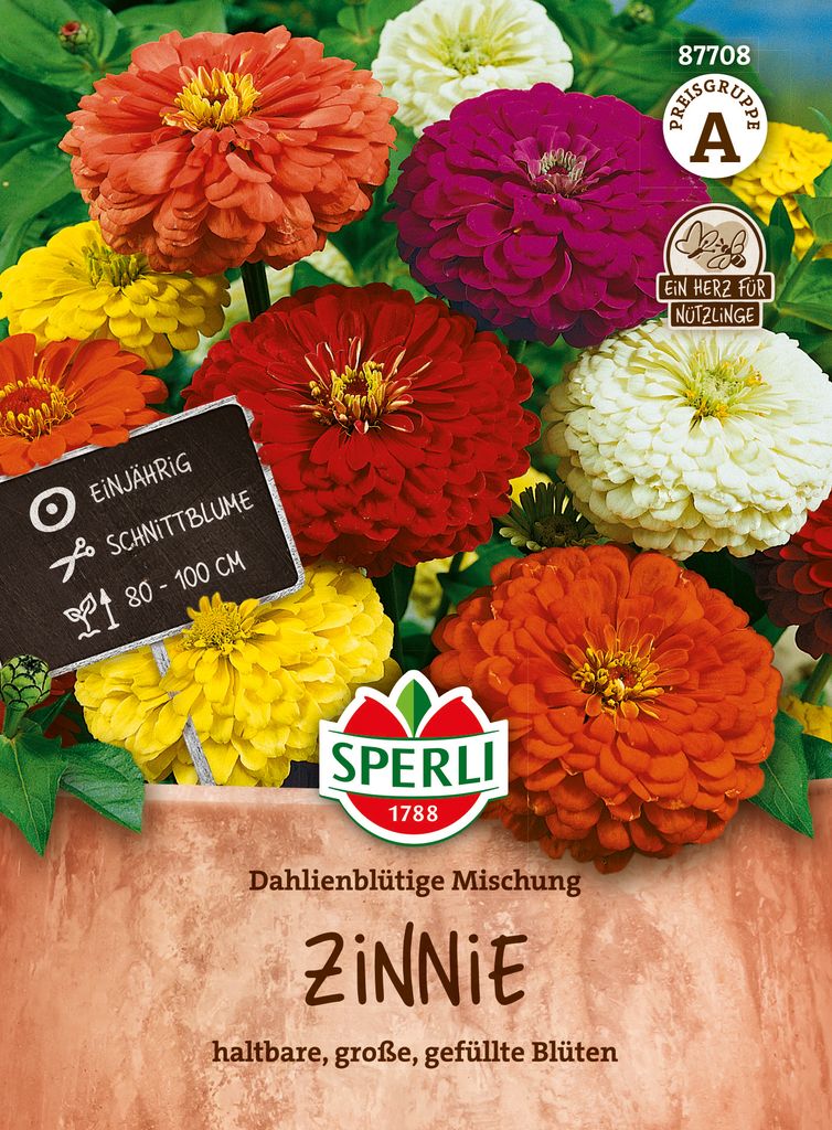 SPERLI Zinniensamen Dahlienblütige 50 Pflanzen