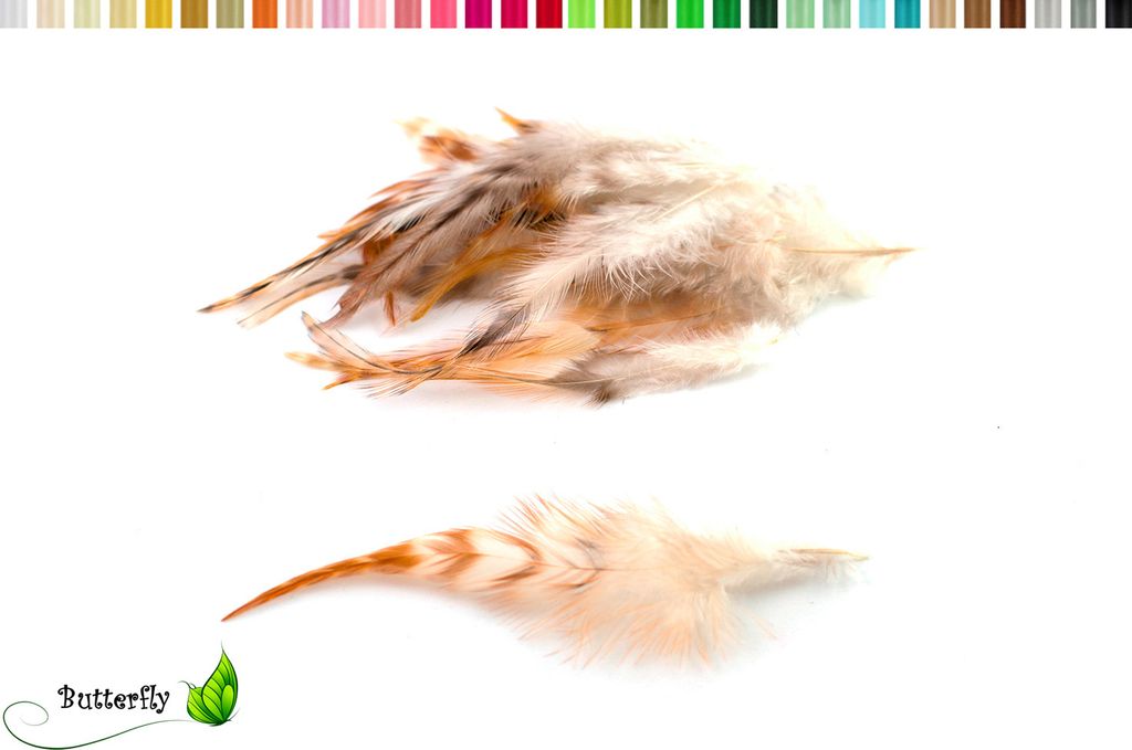 20 Hahnenfedern CHINCHILLA ca. 8-13cm, Farbauswahl:natur Produktbild 