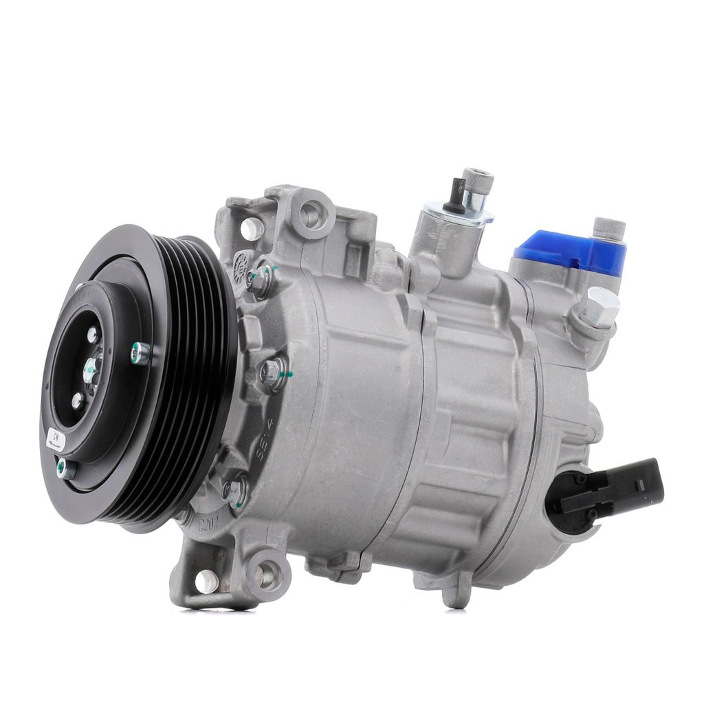 RIDEX 447K0641 6CVC Klimaanlage Klimakompressor PAG 46 für VW Golf VII Schrägheck (5G1, BQ1, BE1, BE2) GOLF VI (5K1) Golf V Schrägheck (1K1) TOURAN