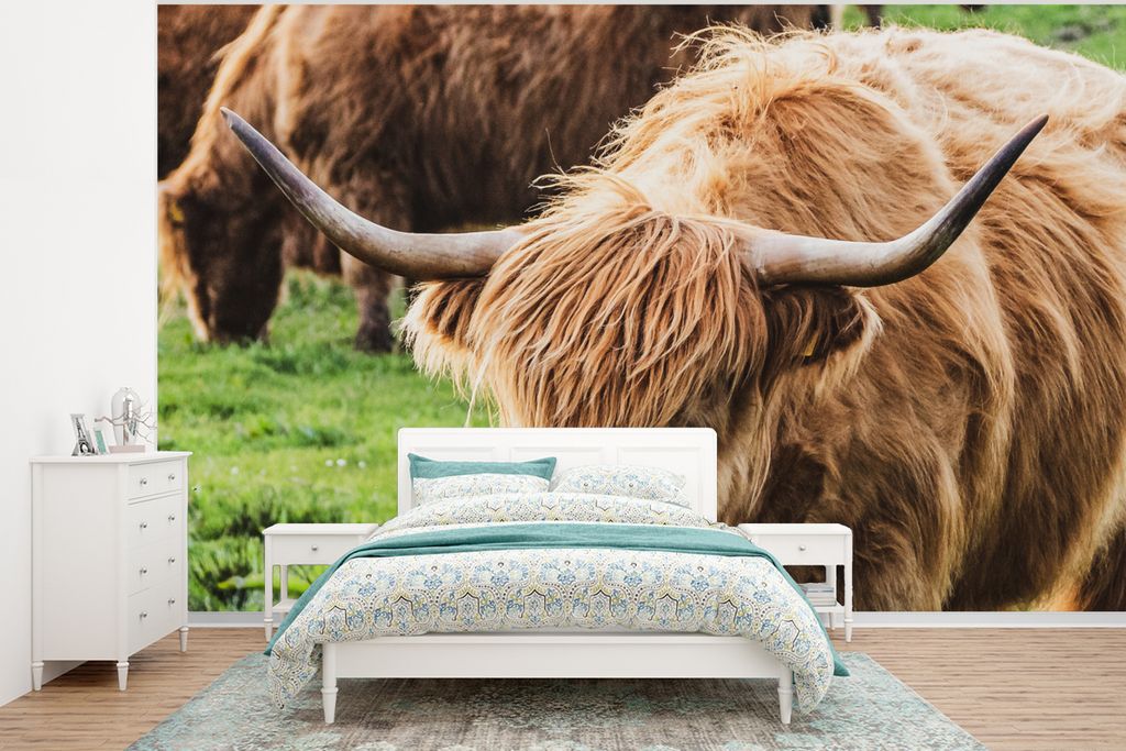 MuchoWow Fototapete für Wohnzimmer oder Schlafzimmer Wandtapete Vinyl Motivtapete Schottischer Highlander - Sonne - Frühling - 375x280 cm - Sch...