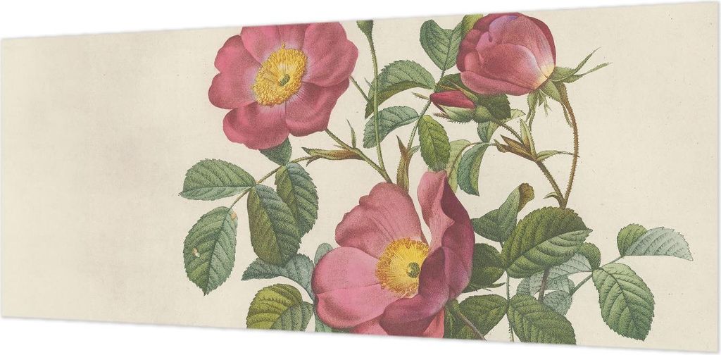 Wandtapete - Dekorative Tapete für Wohnzimmer- Tapetenfolie für Wanddekoration - 208x146 cm - Rosenmotiv