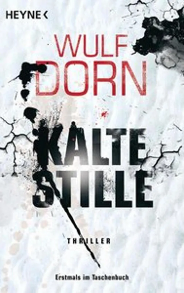Kalte Stille Roman Policier Allemand - Thriller Noir de 450 Pages