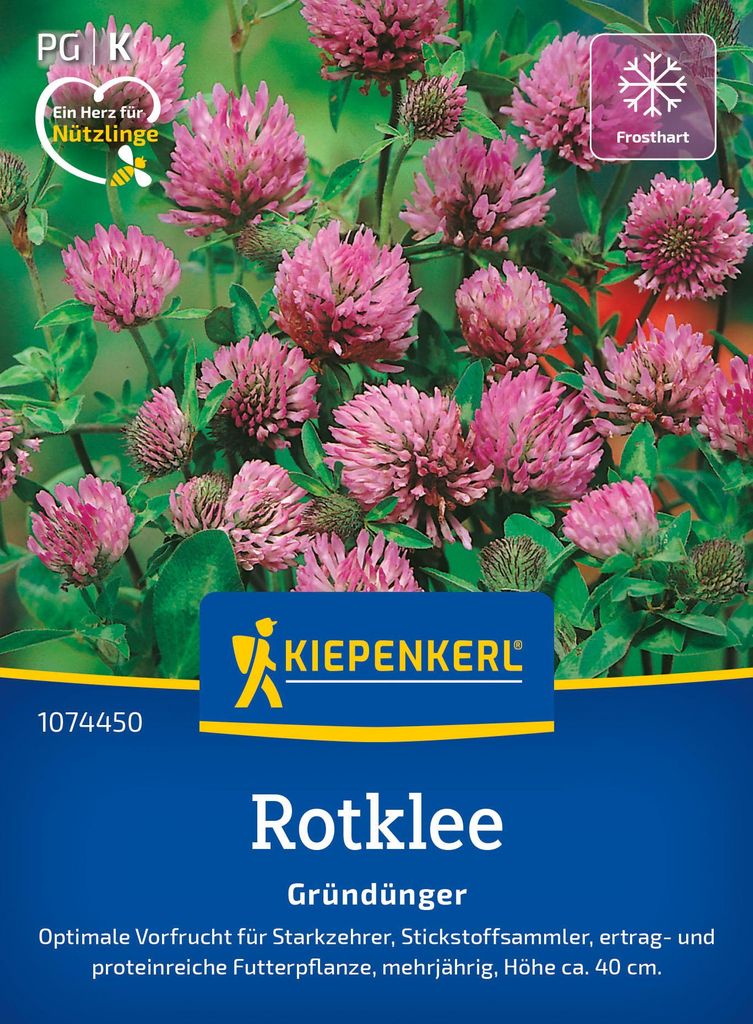 Artikelbild 2 von 'Rotklee Wiesenklee (50 g)' aus der Kategorie Gründünger & -düngung
