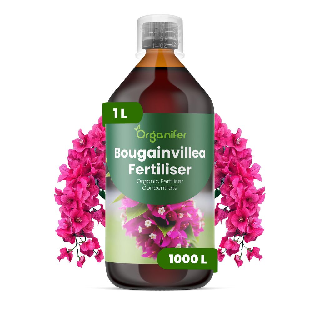 Bougainvillea Nawóz Płynny 1 L – 2-1-8 NPK – Do Kvitnúce Zdjęcie produktu 