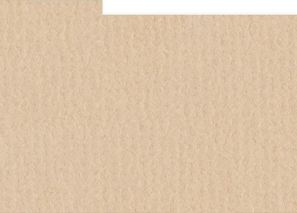 HNFD 10 Intercalaires Photos 15x20 cm Creta - Séparateurs Index Carton