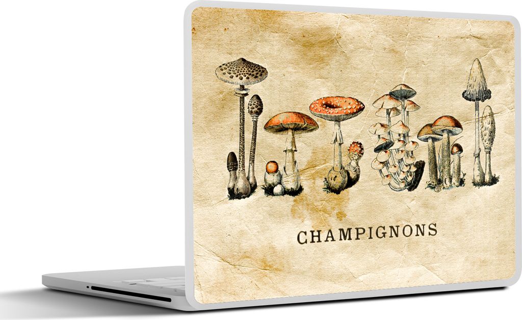 MuchoWow Laptop Aufkleber Sticker Cover Pilz - Herbst - Vintage 32.5x23.5 cm - Sticker für Laptop - Selbstklebend
