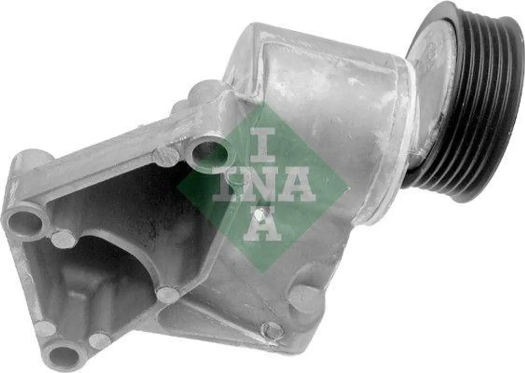 INA 534003210 tendeur courroie crantée : la pièce pour Ford Focus OE1075546