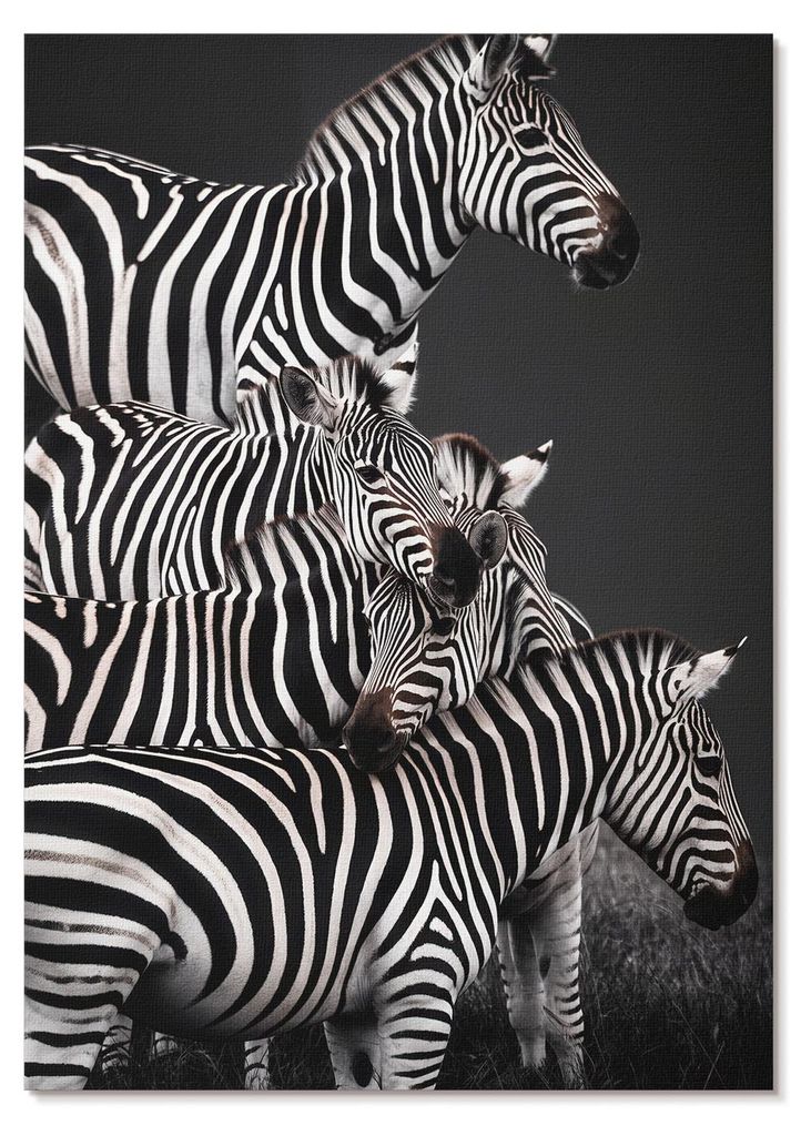 POSTER - 59x84 cm (A1) - Sage - Zebra-Kontrastlinien aus schwarzen und weißen vertikalen Linien - Wandbild für Wohnzimmer Schlafzimmer & Flur, Mo...