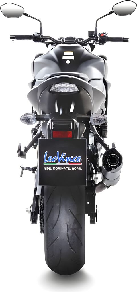 LeoVince LV One Evo Slip-On Auspuff Edelstahl für SUZUKI GSX-S 750/Z ABS