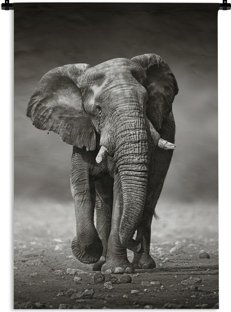 MuchoWow Wandteppich Wandbehang Elefant - Schwarz - Weiß - Namibia 120x180 cm Tapisserie Dekoration Wandtuch - Schlafzimmer - Dekorationen für ...