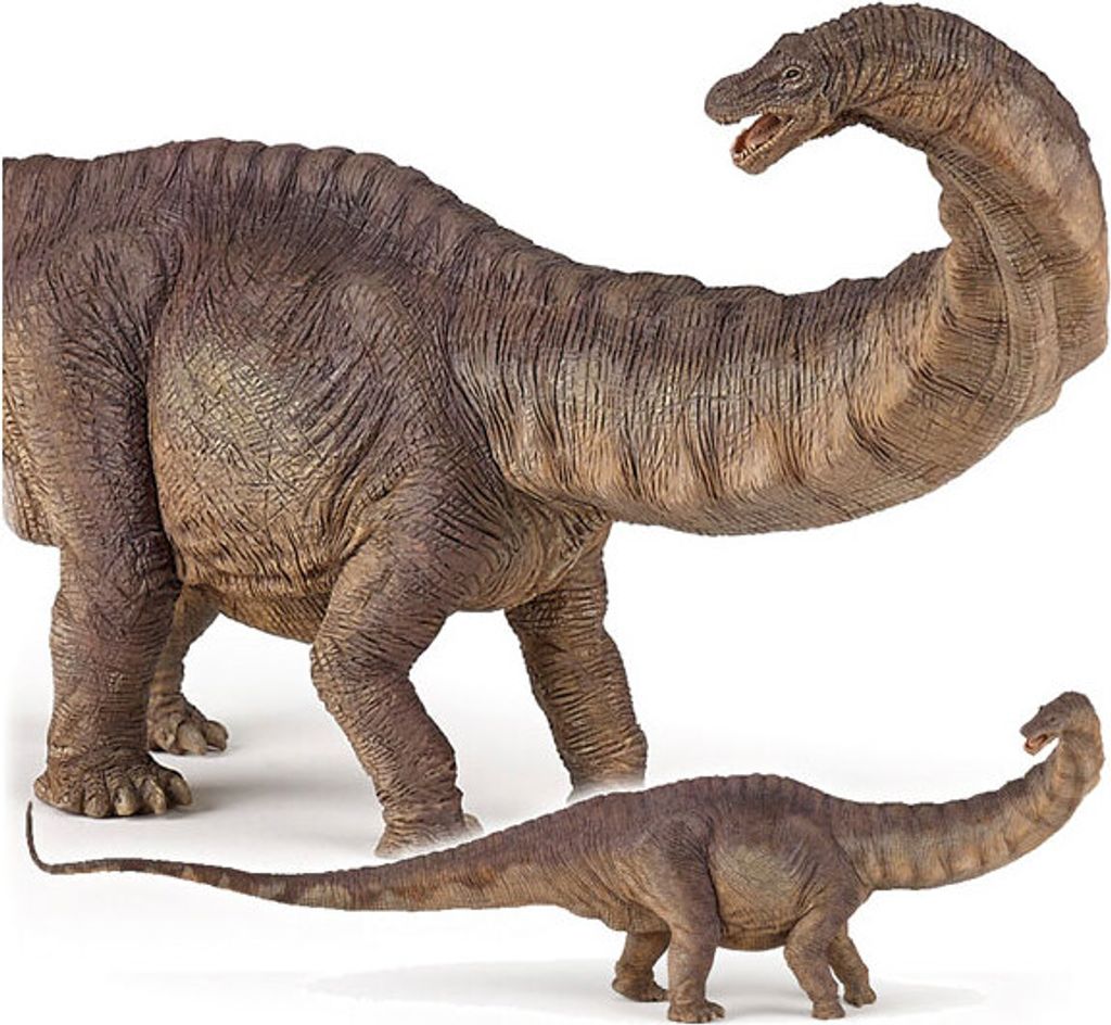 Papo Apatosaurus, 3 Jahr(e), Dinosaurier, Braun, PVC Produktbild 