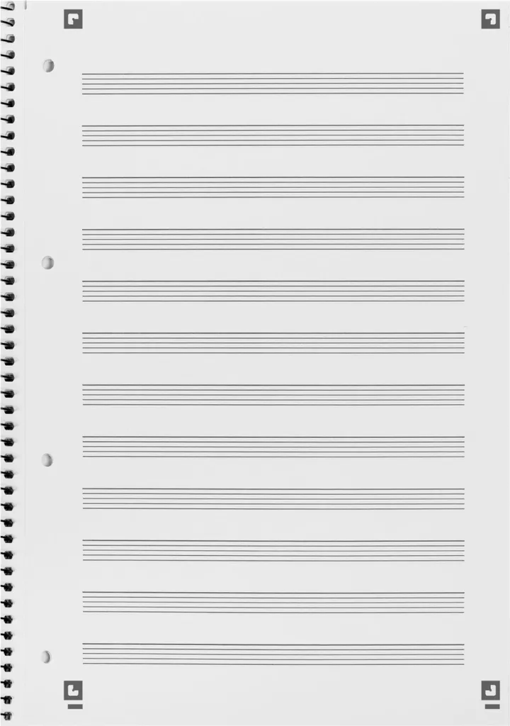 Bloc-notes A4+ pour Comptabilité et Tableaux Réglure 14 - Lot de 10 ex