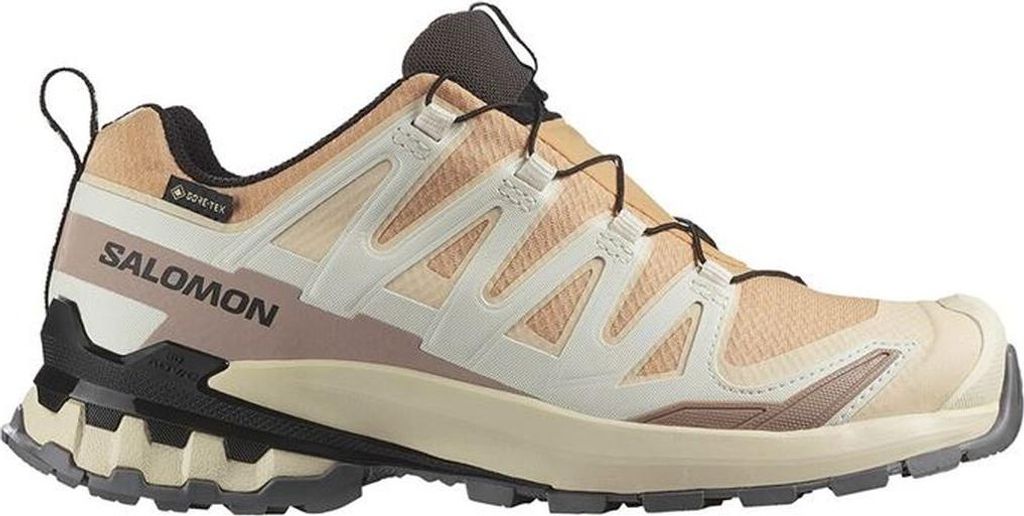 Trail-Laufschuhe für Damen Salomon XA Pro 3 V9 GTX Hellbraun